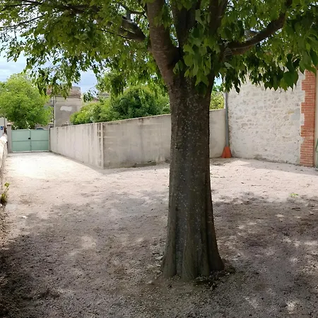 Le Du Vieux Murier Cote Est *